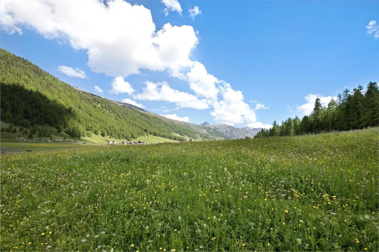 Appartamento Agriturismo Bosco D'Oro 5 Livigno